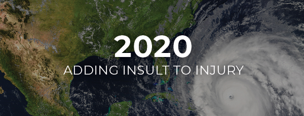 2020: Adding Insult to Injury
